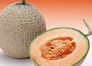 小鸭吃哈密瓜视频,哈密瓜盛宴大揭秘