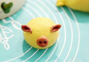 金猪吃瓜视频,趣味横生的萌宠日常