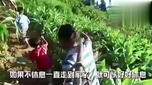彩英吃瓜视频,揭秘娱乐圈幕后故事