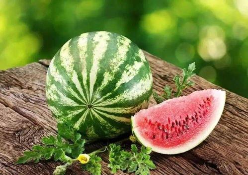 爆火吃瓜视频素材,揭秘娱乐圈幕后真相