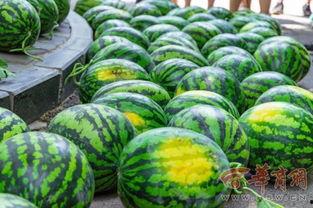 湖南高校吃瓜视频,揭秘校园生活幕后趣闻