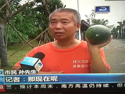 2024吃瓜各种热门事件视频,盘点那些引爆网络的热门事件视频