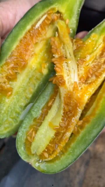 小黄和师傅吃瓜视频大全,视频大全集锦