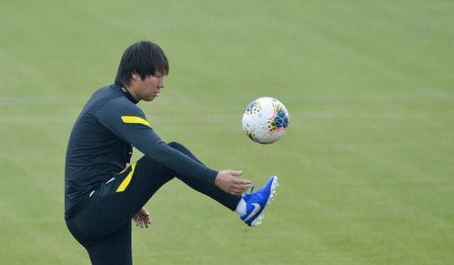 吃瓜视频李铁,吃瓜视频背后的真相与争议