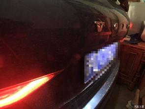 地下吃瓜的视频,揭秘神秘地下吃瓜现象