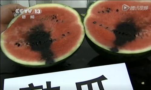 吃瓜群众吃鸡腿视频在线观看