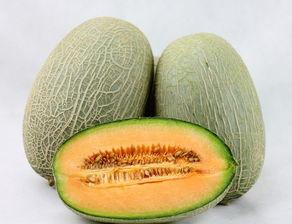 吃哈密瓜的迷惑行为视频,哈密瓜诱惑下的萌宠奇行记