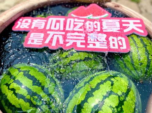 官方大型吃瓜现场视频,揭秘幕后真相，带你直击现场盛况